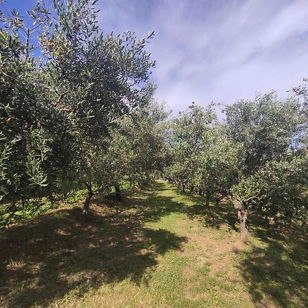 Apartman Villa Romana Grožnjan Zewnętrze zdjęcie