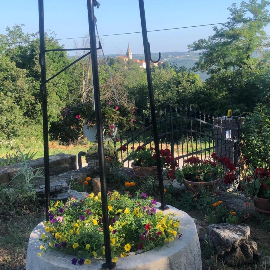 Apartman Villa Romana Grožnjan Zewnętrze zdjęcie