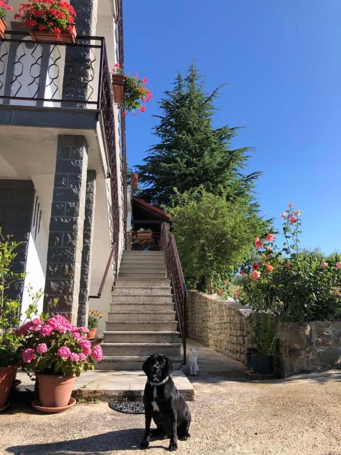 Apartman Villa Romana Grožnjan Zewnętrze zdjęcie