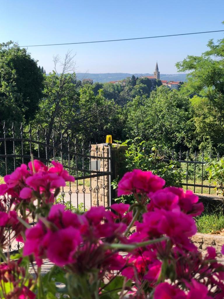 Apartman Villa Romana Grožnjan Zewnętrze zdjęcie
